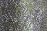 Sabden fibreglass roof work